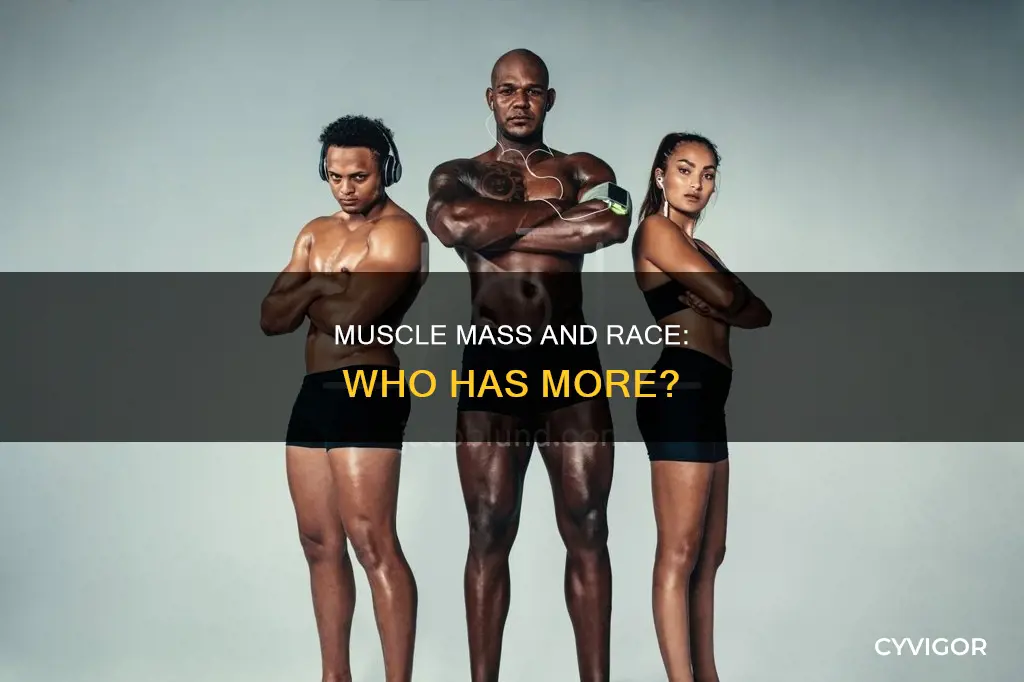 which race has more muscle