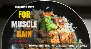 Best Rice Varieties to Fuel Muscle Growth and Recovery