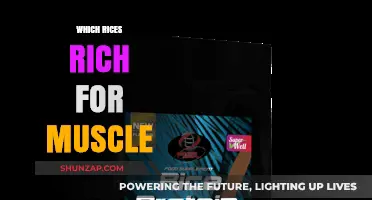 Best Rice Types to Support Muscle Growth