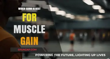 Top SARMs for Muscle Gain: Which One Fits Your Goals?