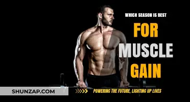 Best Season for Muscle Gain: Optimize Your Workouts Year-Round