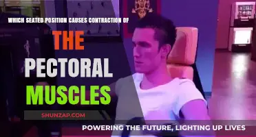 Seated Posture That Engages Pectoral Muscles: A Surprising Contraction