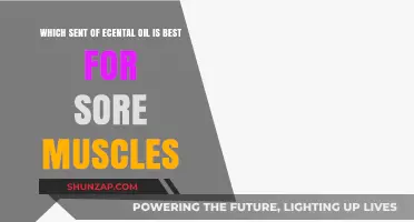 Best Essential Oils for Sore Muscles: Top Picks for Relief
