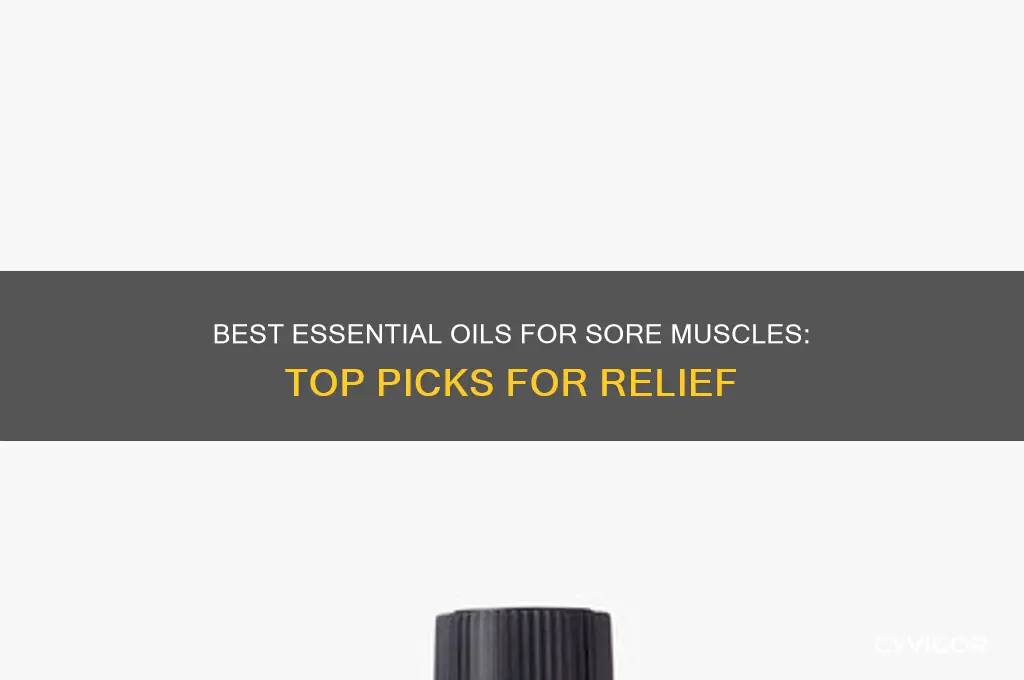which sent of ecental oil is best for sore muscles