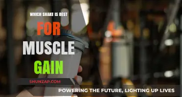 Top Muscle-Building Shakes: Fuel Your Gains Effectively and Efficiently