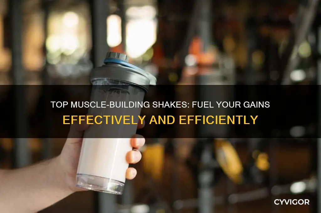 which shake is best for muscle gain