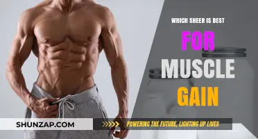 Best Sheer Supplements for Optimal Muscle Gain: Expert Recommendations