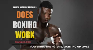 Boxing's Shoulder Power: Muscles Targeted and Strengthened in the Ring