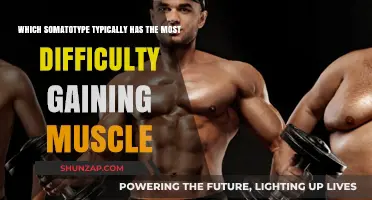 Ectomorphs' Muscle-Building Challenge: Overcoming Genetics for Gains