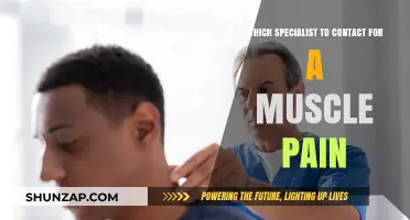 Muscle Pain Relief: Choosing the Right Specialist for Effective Treatment