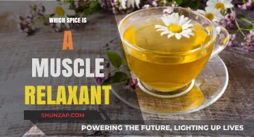 Discover the Natural Muscle Relaxant: A Spice for Soothing Tension