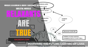 Centrally Acting Skeletal Muscle Relaxants: Facts vs. Fiction Explained