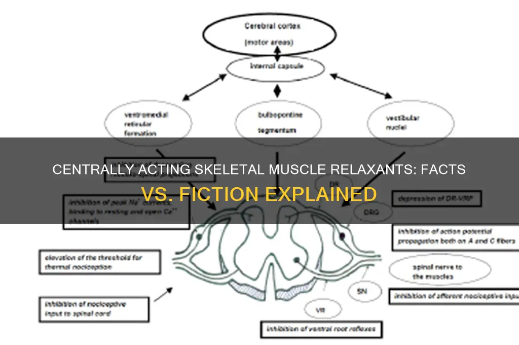 which statements about centrally acting skeletal muscle relaxants are true