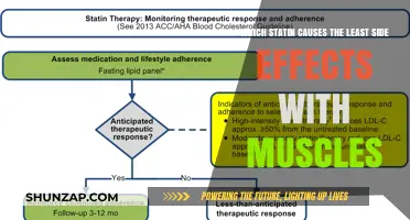 Muscle-Friendly Statins: Which One Minimizes Side Effects Effectively?