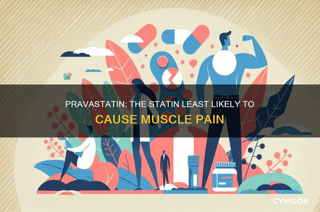 which statin is less likely to cause muscle painpravastatin