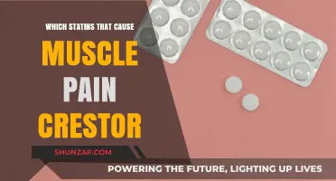 Crestor and Muscle Pain: Understanding Statin Side Effects