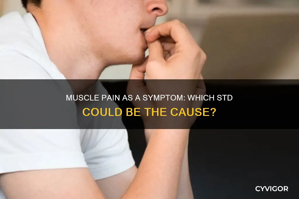 which std has symptoms of muscle pain