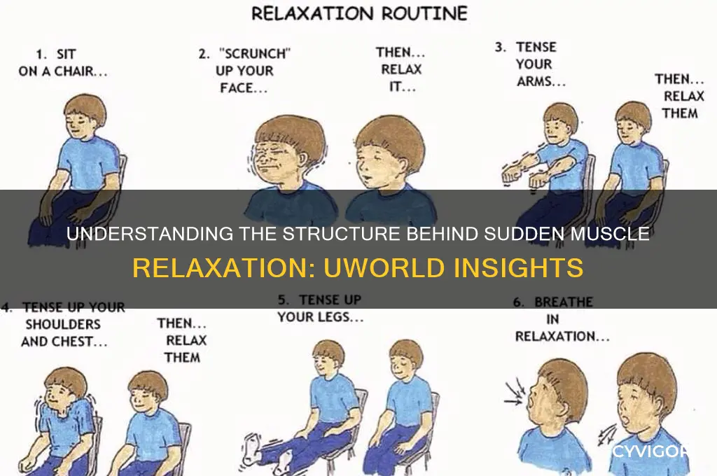 which structure responsible for sudden muscle relaxation uworld
