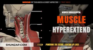 Hyperextension and the Suboccipital Muscles: Which One?
