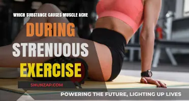 Unraveling the Mystery: What Causes Muscle Aches During Intense Workouts?