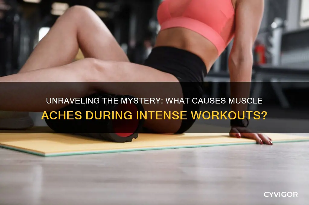 which substance causes muscle ache during strenuous exercise