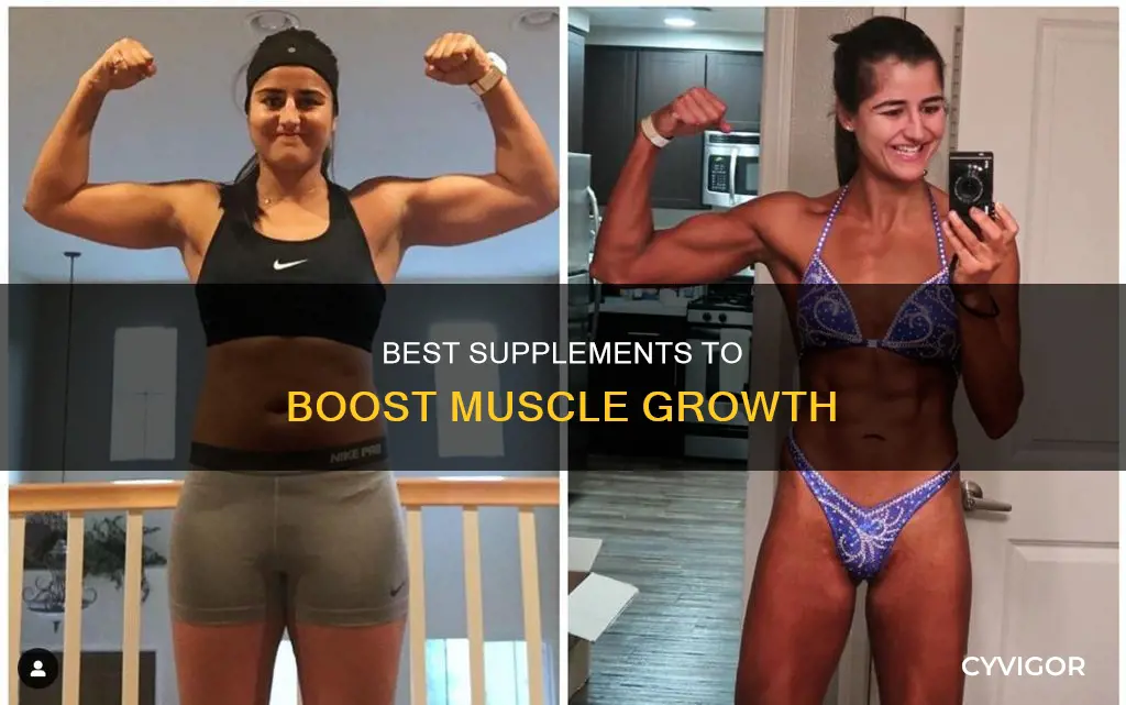 which supplement increase muscle size