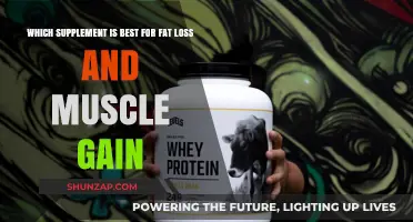 Top Supplements for Fat Loss and Muscle Gain: What Works Best?