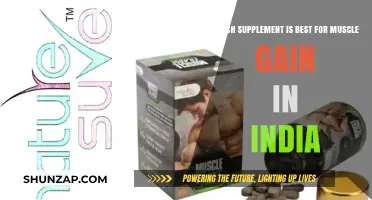 Top Muscle-Building Supplements in India for Optimal Gains