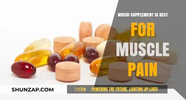 Top Supplements to Relieve Muscle Pain and Enhance Recovery