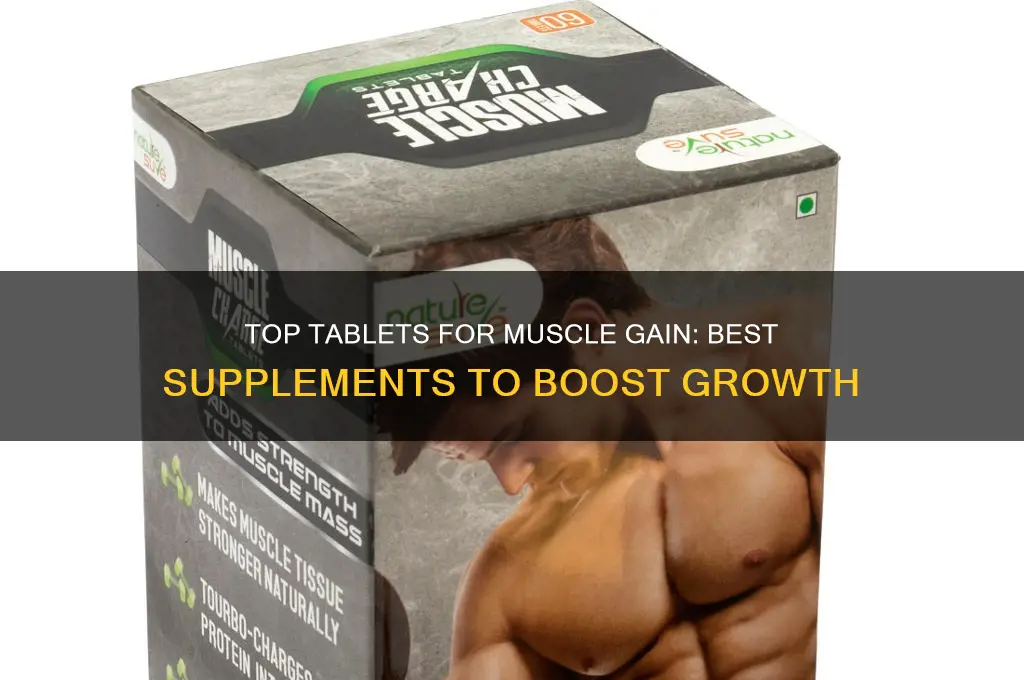 which tablet is best for muscle gain