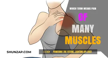 Understanding Polymyalgia Rheumatica: The Condition Causing Widespread Muscle Pain