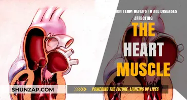 Understanding Cardiomyopathies: Diseases Affecting the Heart Muscle