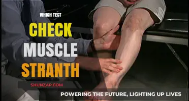 Muscle Strength Evaluation: Which Test is Best?