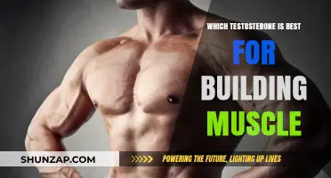 Unlocking Muscle Growth: The Ultimate Guide to Testosterone Optimization