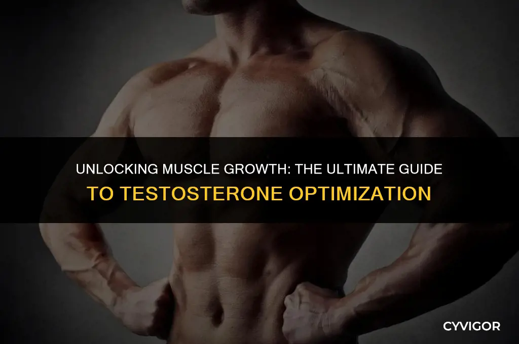 which testosterone is best for building muscle