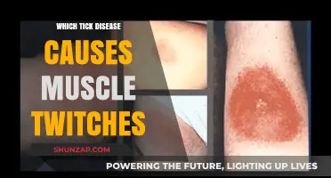 Tick-Borne Illness Linked to Muscle Twitches: Uncovering the Culprit
