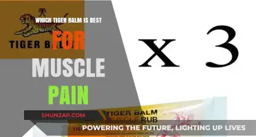 Best Tiger Balm for Muscle Pain: Top Picks and Benefits