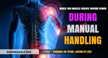 Powerful Lifts: Key Muscle Groups for Safe Manual Handling