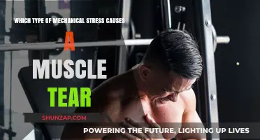 Understanding Mechanical Stress: The Primary Cause of Muscle Tears