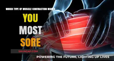 Eccentric vs. Concentric: Which Muscle Contraction Causes More Soreness?
