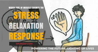 Understanding Stress Relaxation: Which Muscle Type Adapts to Prolonged Tension?