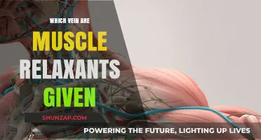 Understanding Muscle Relaxant Administration: Which Vein is Typically Used?