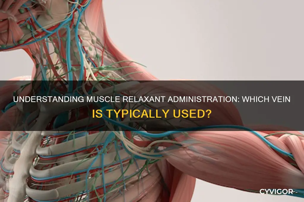 which vein are muscle relaxants given