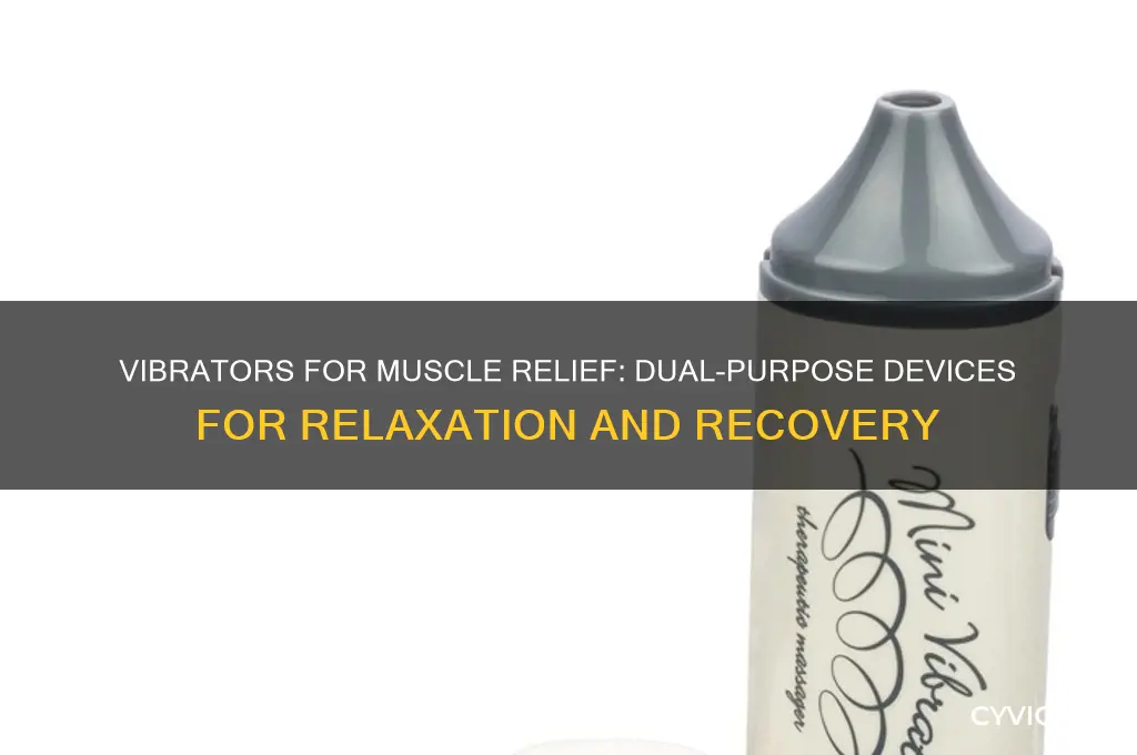 which vibrators also work on muscles