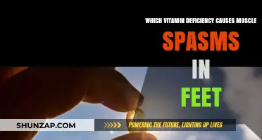 Vitamin Deficiency Linked to Foot Muscle Spasms: What You Need to Know
