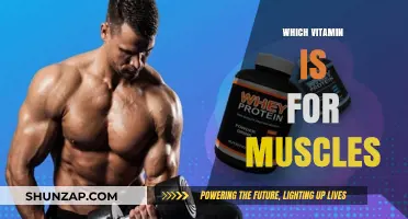 Vitamins for Muscle Strength and Growth