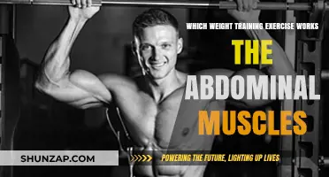 Effective Weight Training Exercises to Target and Strengthen Your Abs