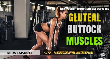 Effective Gluteal Workouts: Top Weight Training Exercises for Stronger Buttocks