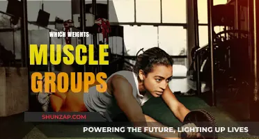 Effective Weight Training: Targeting Key Muscle Groups for Optimal Results
