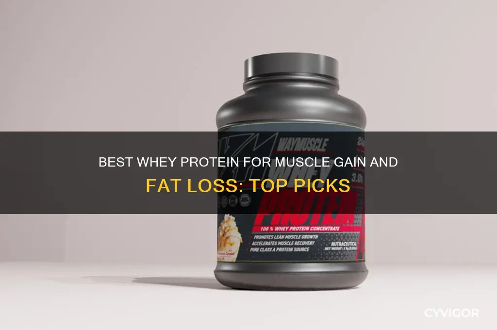 which whey protein for muscle gain and fat loss